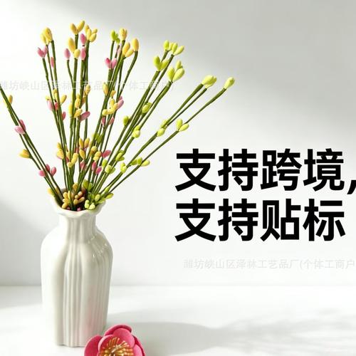 植物银柳厂家