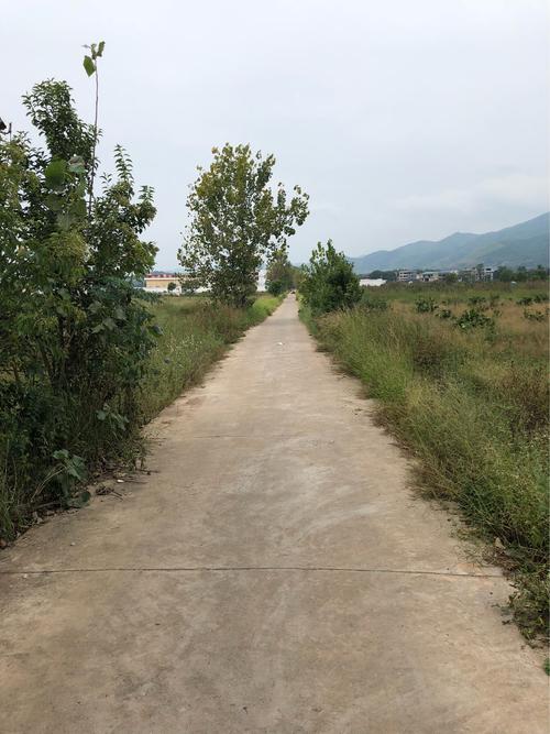 瑞金市管道天然气项目